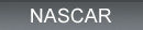 TSN Nascar